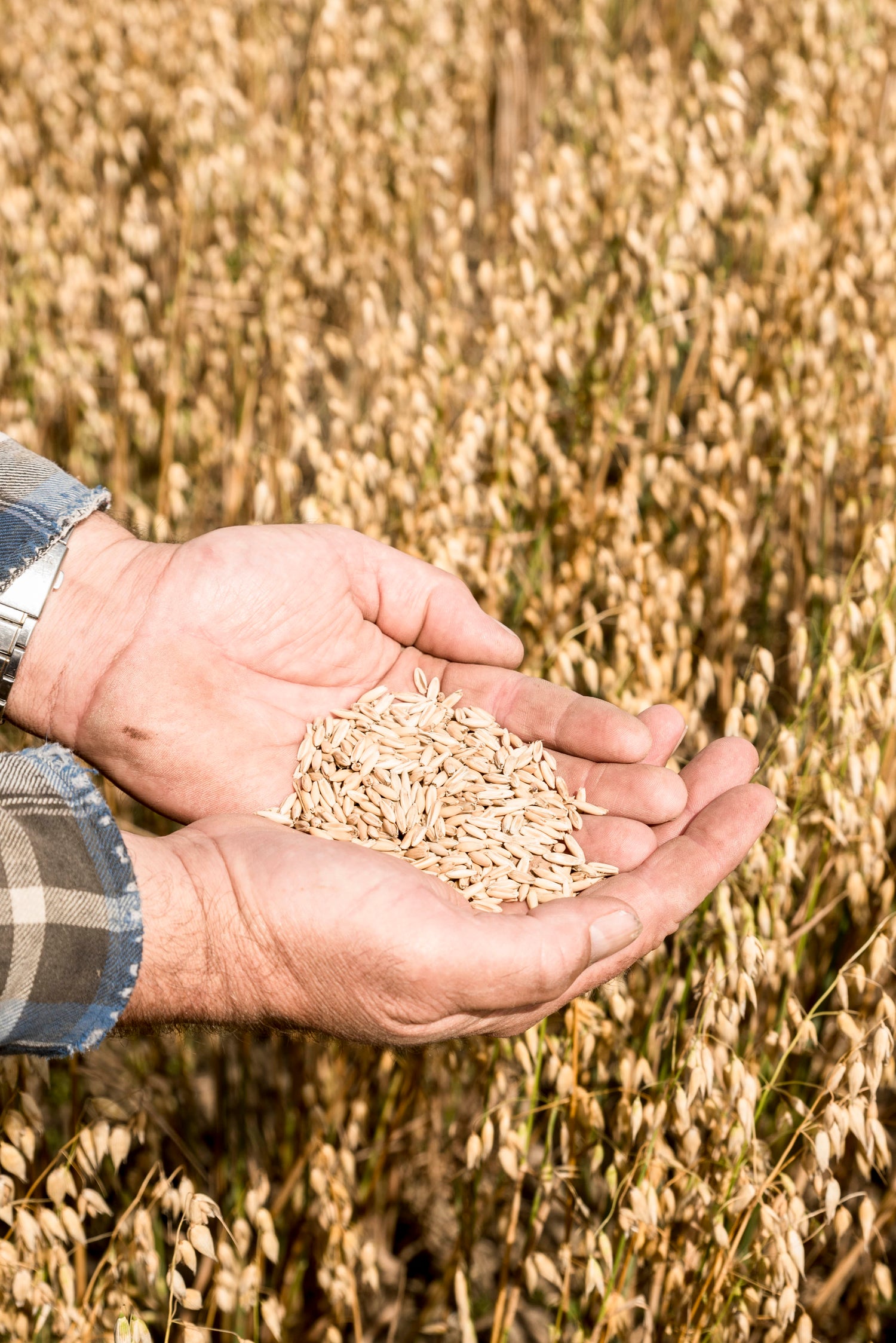 Het Planetary Health Diet