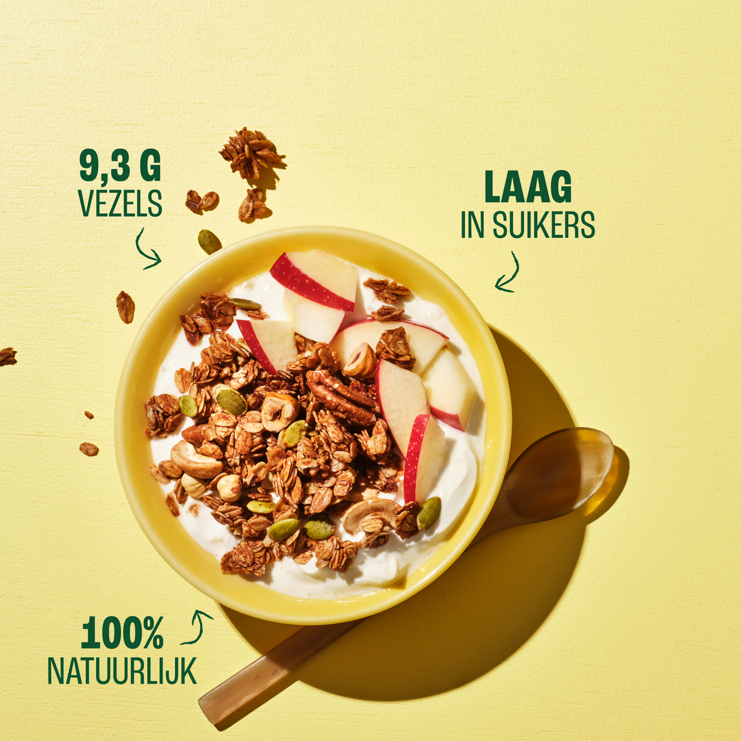 Crunchy Nuts