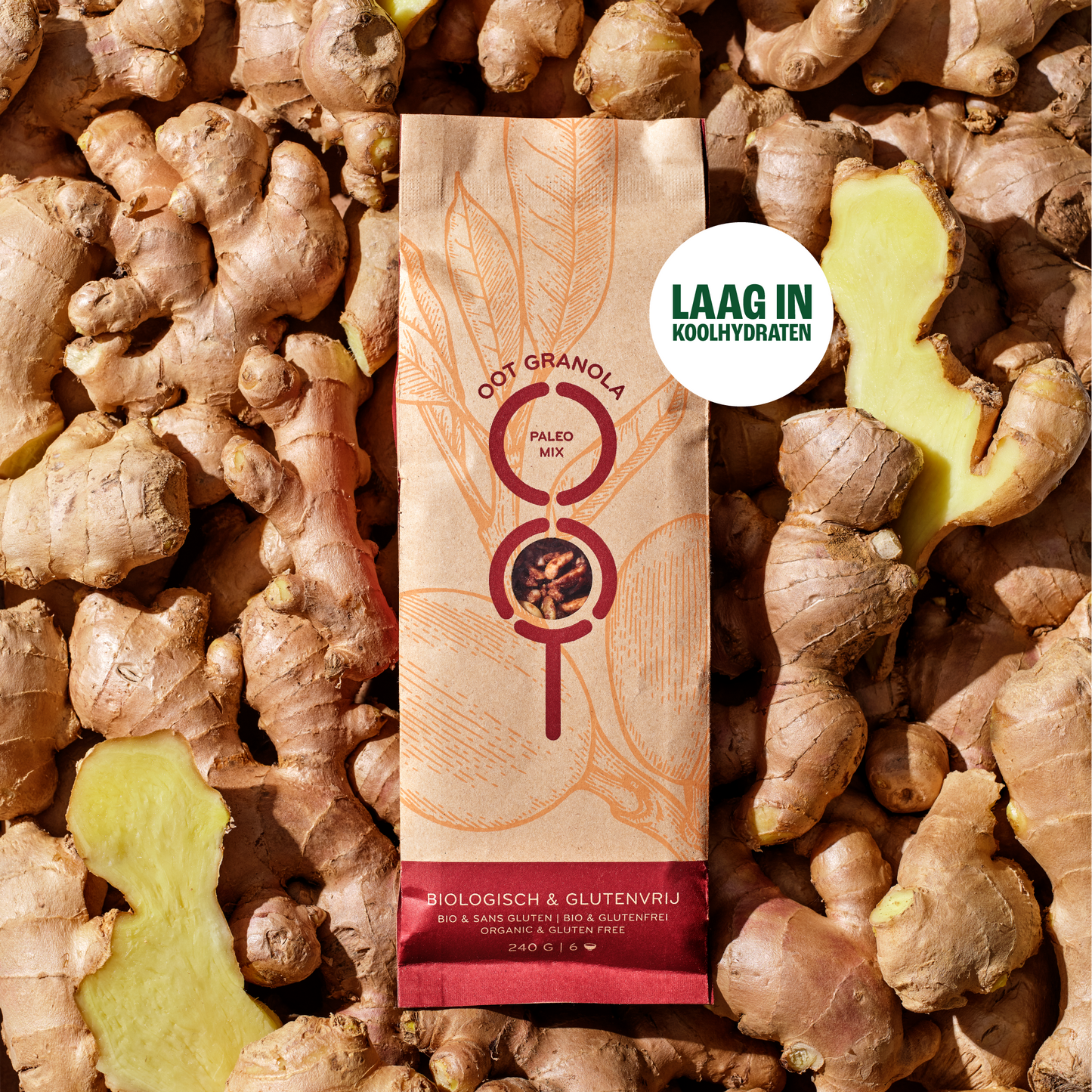 White Almond Paleo